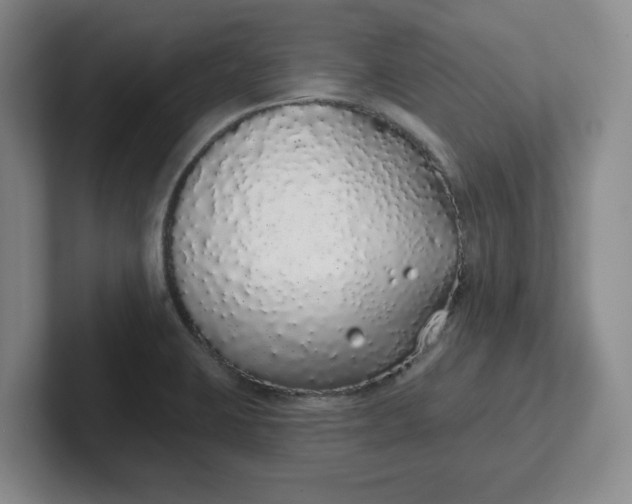 X0000102291423200808081513