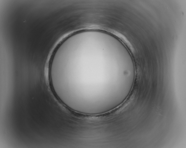 X0000102291424200808081513