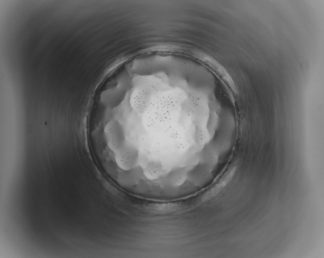 X0000102291425200808081513