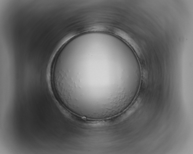 X0000102291426200808081514