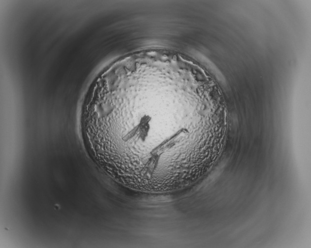 X0000102291427200808081514