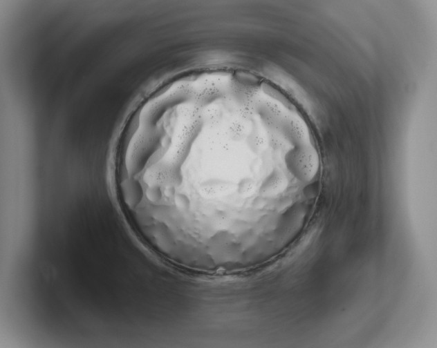 X0000102291429200808081514