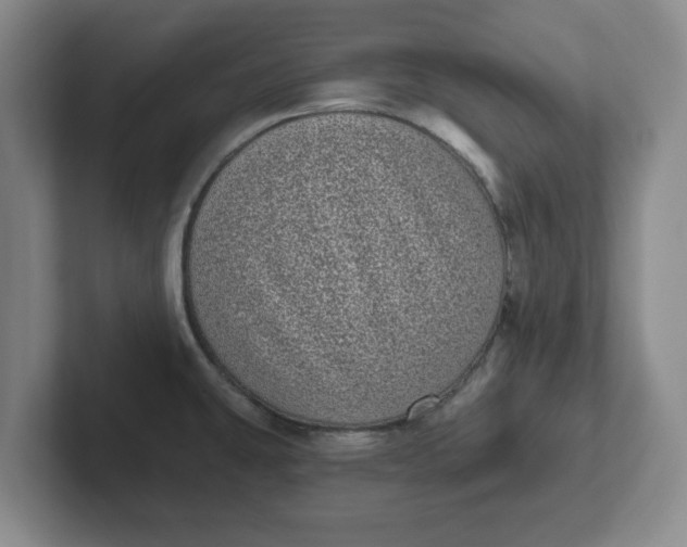 X0000102291431200808081514