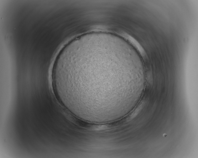 X0000102291435200808081514