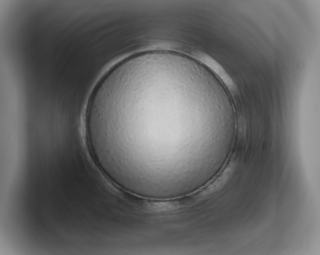 X0000102291436200808081514