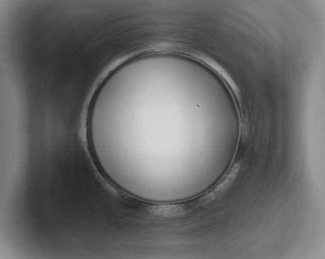 X0000102291437200808081514