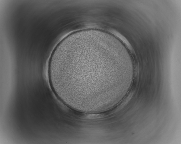 X0000102291439200808081514