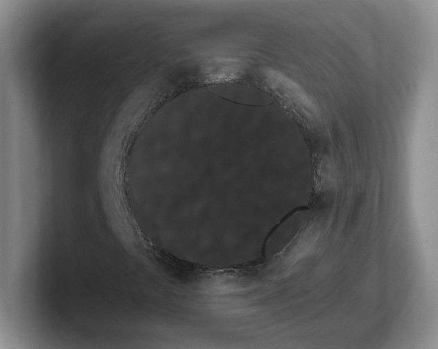 X0000102291441200808081513