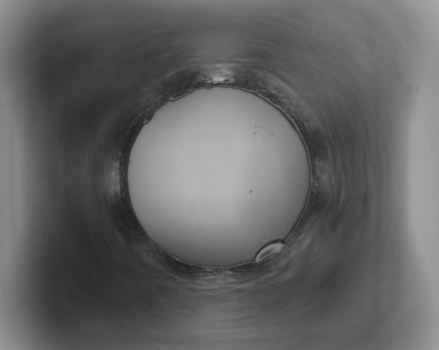 X0000102291442200808081513