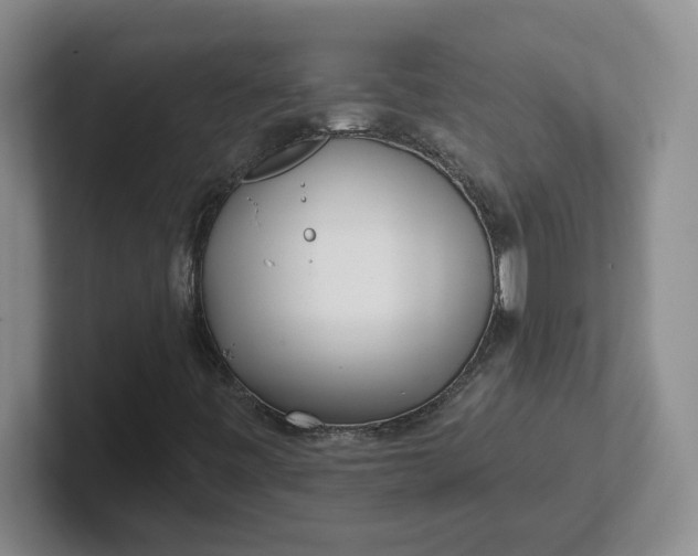 X0000102291443200808081513