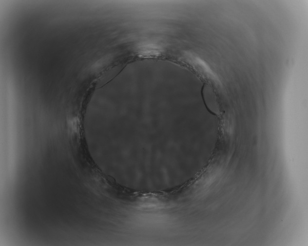 X0000102291445200808081513