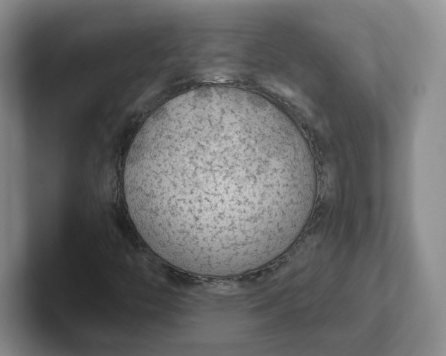 X0000102291446200808081513