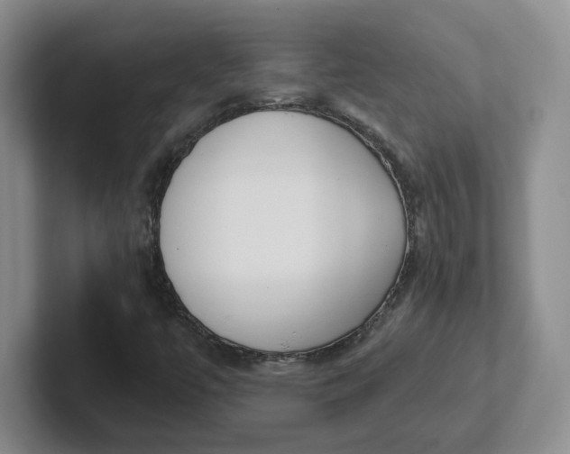 X0000102291447200808081513