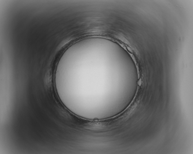 X0000102291450200808081513