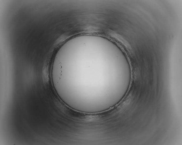 X0000102291451200808081513