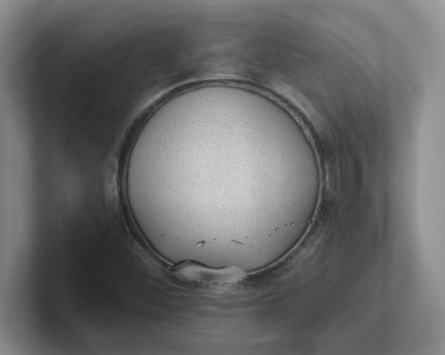 X0000102291452200808081513