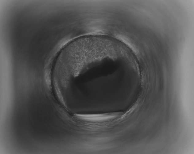 X0000102291455200808081513