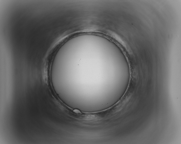 X0000102291456200808081513