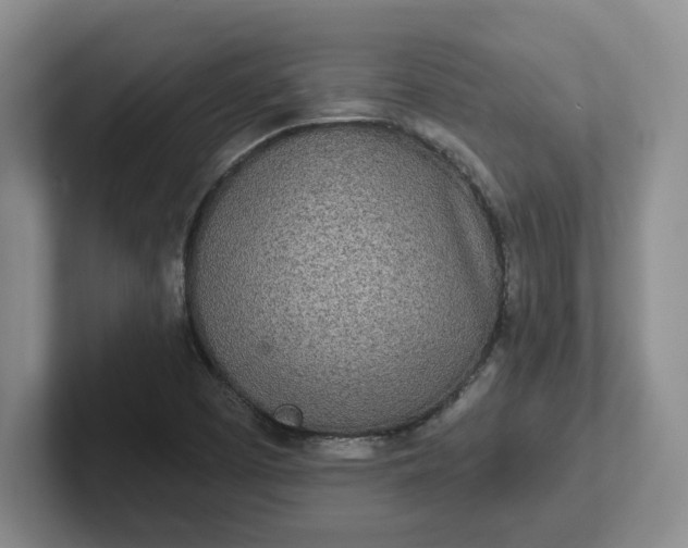 X0000102291457200808081513