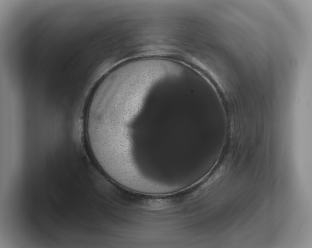 X0000102291459200808081513