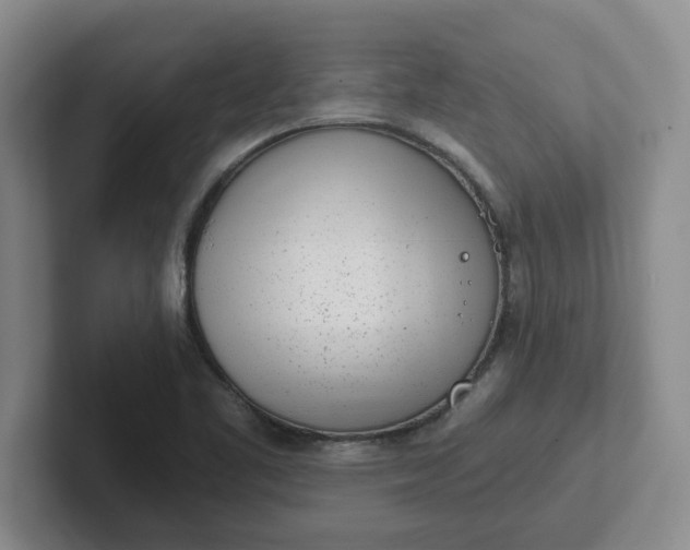 X0000102291461200808081513