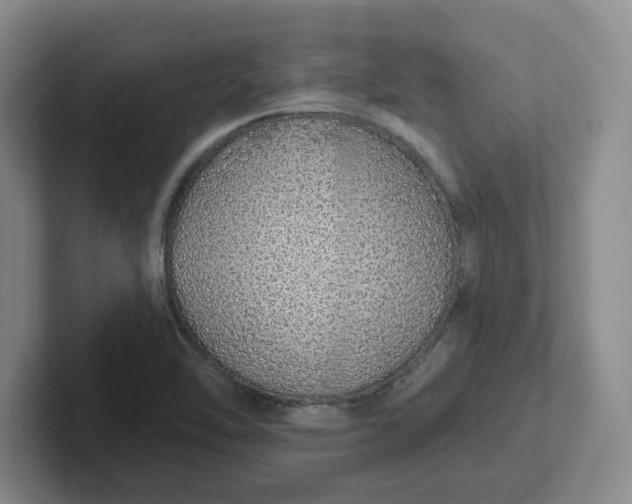 X0000102291462200808081513