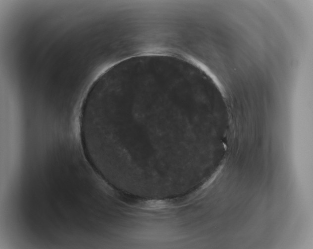 X0000102291463200808081513