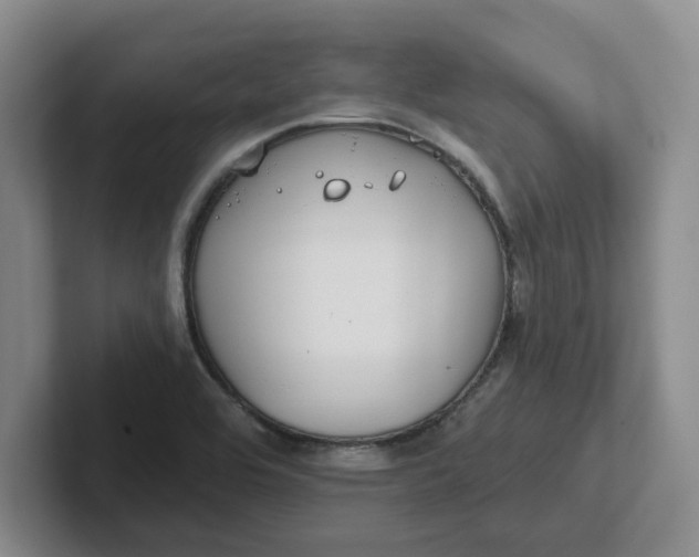 X0000102291464200808081513