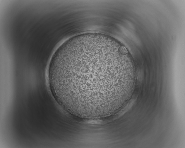 X0000102291466200808081513