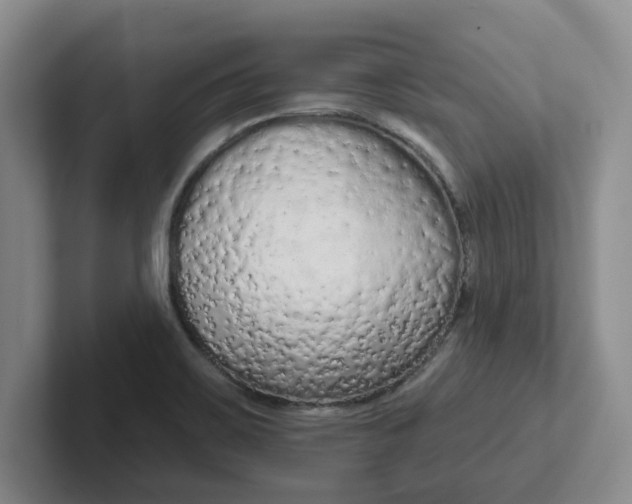 X0000102291467200808081513