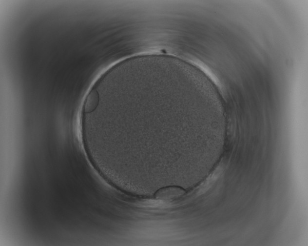 X0000102291468200808081513