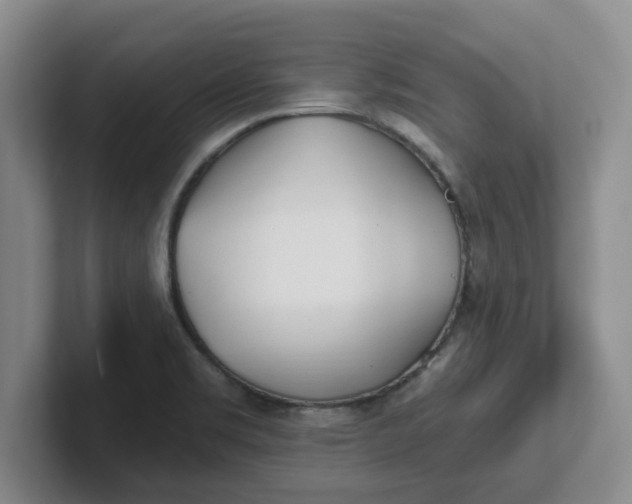 X0000102291469200808081513