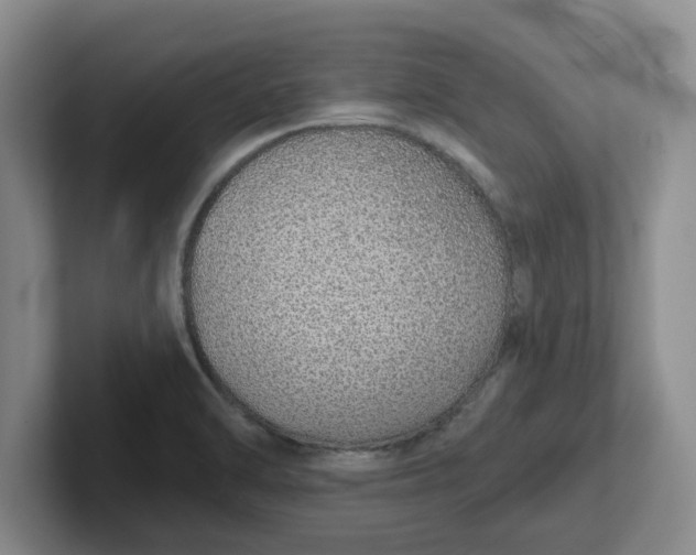 X0000102291470200808081513