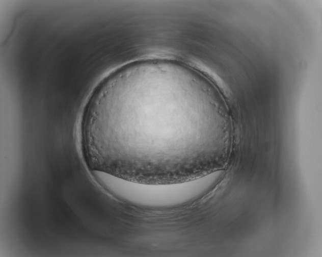 X0000102291471200808081513