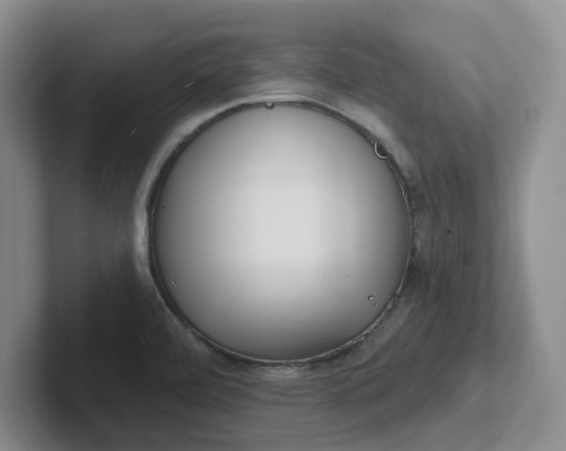 X0000102291472200808081513