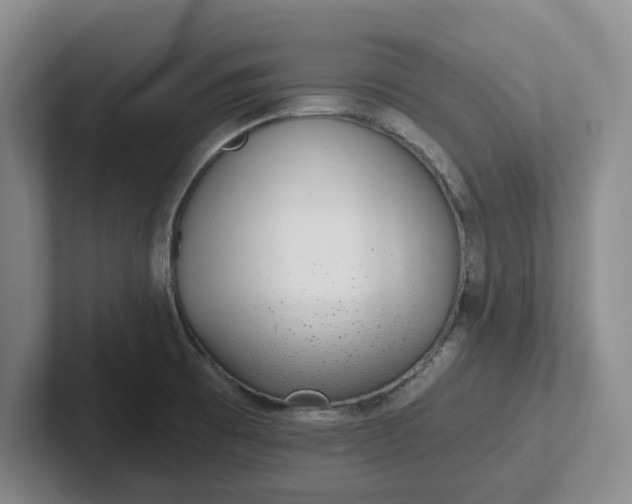 X0000102291473200808081513