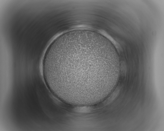 X0000102291474200808081513