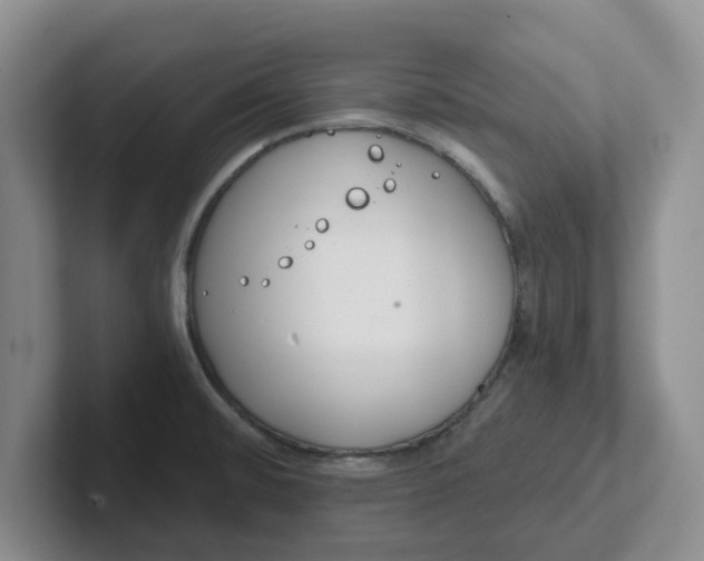 X0000102291476200808081513