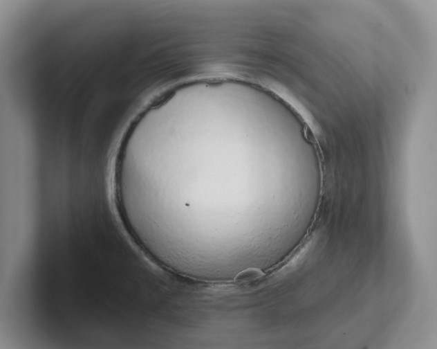 X0000102291477200808081513