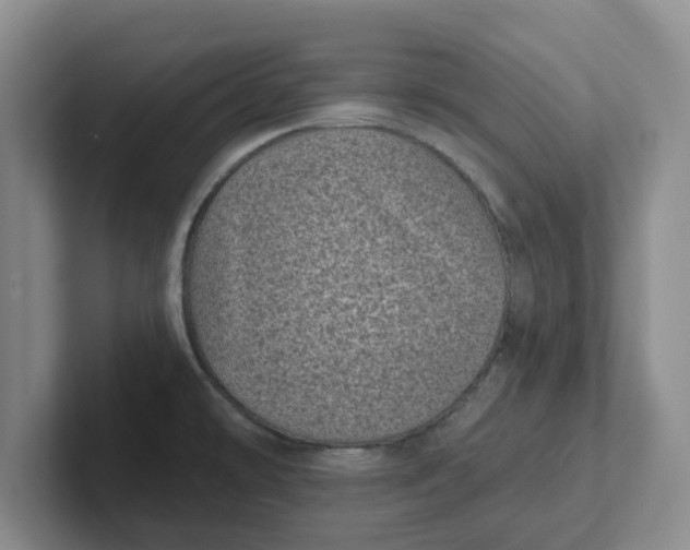 X0000102291478200808081513