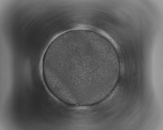 X0000102291479200808081513