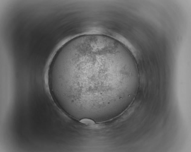 X0000102291480200808081512