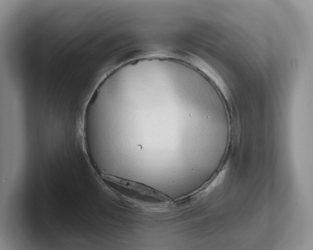 X0000102291481200808081512