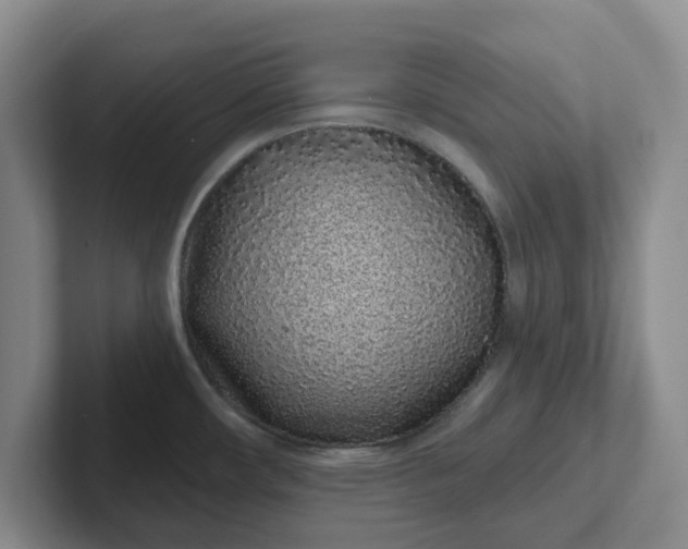 X0000102291482200808081512