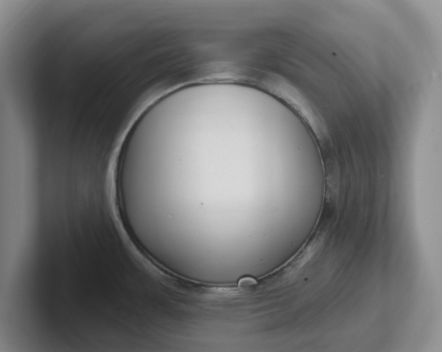 X0000102291483200808081512