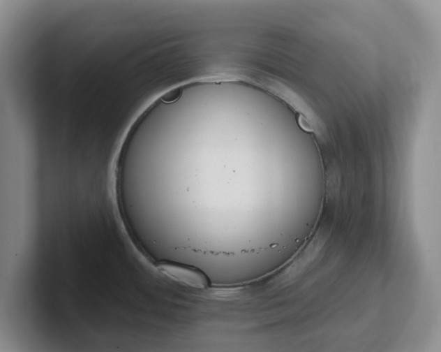 X0000102291484200808081512