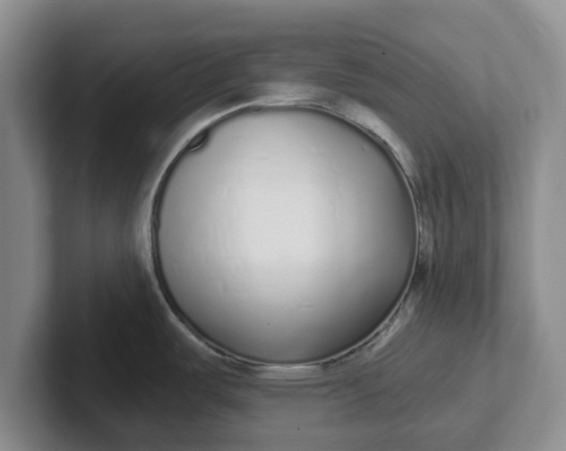 X0000102291487200808081512