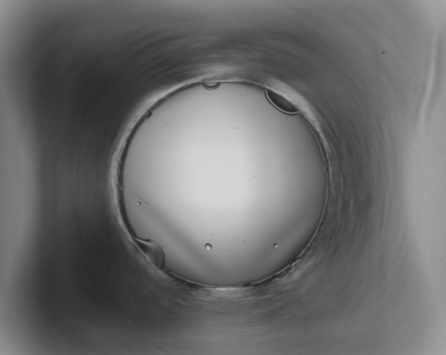 X0000102291488200808081512