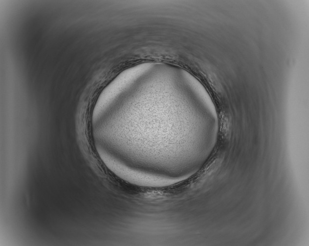 X0000102291489200808081512