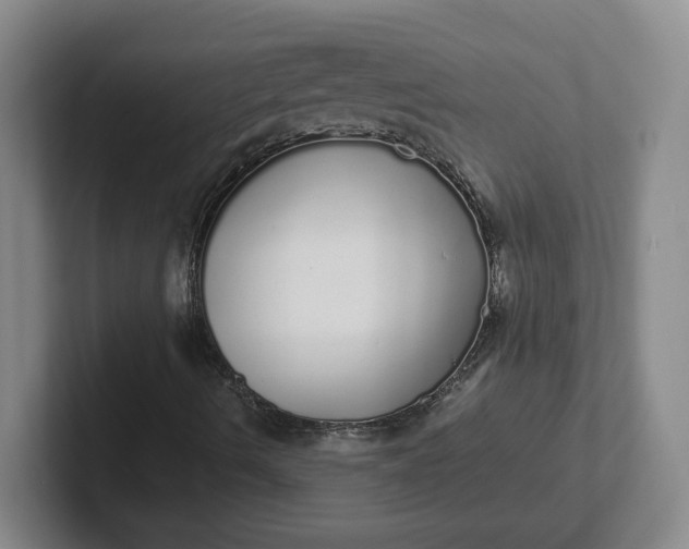 X0000102291490200808081512